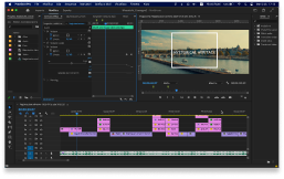 Premiere preview