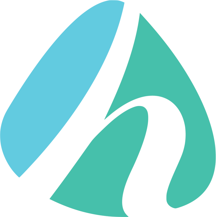 Suisse Health Company